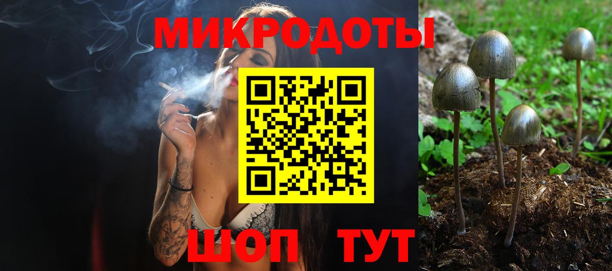 Кольчугино  Галлюциногенные грибы Cubensis  Вход с VPN 